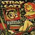 Stray Cats Rumble In Brixton DVD US SRYDDRU313406