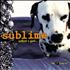 Sublime What I Got... EP CD single US S/BC5WH389612