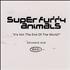 Super Furry Animals It's Not The End Of The World? DVD Single UK SFADSIT207330