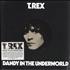 T-Rex / Tyrannosaurus Rex Dandy In The Underworld - 180gm vinyl LP UK REXLPDA727567