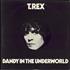 T-Rex / Tyrannosaurus Rex Dandy In The Underworld - EX -factory sample vinyl LP UK REXLPDA792966