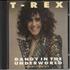 T-Rex / Tyrannosaurus Rex Dandy In The Underworld CD album UK REXCDDA422787