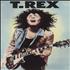 T-Rex / Tyrannosaurus Rex The Essential Collection cd album box set US REXDXTH743996