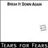 Tears For Fears Break It Down Again 12