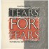 Tears For Fears Mothers Talk 12
