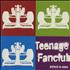 Teenage Fanclub Bonus B-Sides CD single Australian TFCC5BO490801
