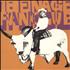 Teenage Fanclub Discolite 7