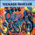 Teenage Fanclub The Peel Sessions CD single UK TFCC5TH110065