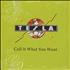 Tesla Call It What You Want CD single US TESC5CA493856
