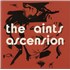 The Aints Ascension vinyl LP UK -MNLPAS884935