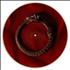 The Alan Parsons Project Vulture Culture picture disc LP US TPPPDVU481162