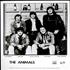 The Animals Before We Were So Rudely Interrupted press pack US ANMPPBE511192