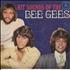 The Bee Gees Hit Sounds Of The Bee Gees vinyl LP Australian BGELPHI325338