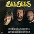 The Bee Gees La Mujer Que Hay En Ti 12