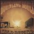 The Bouncing Souls The Golden Record vinyl LP US OUNLPTH756824