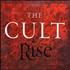 The Cult Rise CD single German CLTC5RI195822