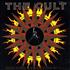 The Cult Sun King 7