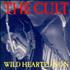 The Cult Wild Hearted Son CD single UK CLTC5WI163749