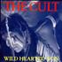 The Cult Wild Hearted Son 12