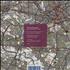 The Durutti Column Free From All The Chaos - Clear Vinyl 7
