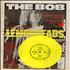 The Flaming Lips Life On Mars Flexi + Magazine 7