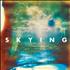 The Horrors Skying 2-LP vinyl set UK HO52LSK542375