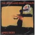 The Jesus & Mary Chain April Skies (Long Version) - Opened shrink with Store Sticker 12