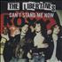 The Libertines Can't Stand Me Now CD single US TLBC5CA434178