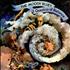 The Moody Blues A Question Of Balance - 1st vinyl LP US MBLLPAQ444825