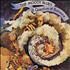The Moody Blues A Question Of Balance CD album UK MBLCDAQ223549