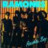 The Ramones Animal Boy CD album Japanese RAMCDAN373874