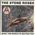 The Stone Roses What The World Is Waiting For - 'Fools Gold' Stickered sleeve 7