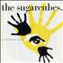 The Sugarcubes Coldsweat 7