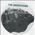 The Undertones The Undertones picture disc LP UK UDTPDTH305877