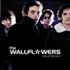 The Wallflowers Red Letter Days CD album UK WFLCDRE226588
