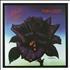 Thin Lizzy Black Rose CD album UK THICDBL445693