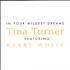 Tina Turner In Your Wildest Dreams CD single US TURC5IN78554