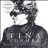 Tina Turner Something Beautiful Remains 2-CD single set UK TUR2SSO213456