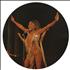 Tina Turner Tina Turner picture disc LP US TURPDTI434730