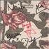 Tindersticks Curtains - autographed CD album UK TNDCDCU170807