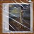 Tori Amos Scarlet's Walk - Sealed CD album Mexican TORCDSC251007