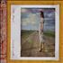 Tori Amos Scarlet's Walk CD album Japanese TORCDSC234087