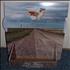 Tori Amos Scarlet's Walk display US TORDISC234396