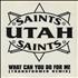 Utah Saints What Can You Do For Me - Transformer Remix 12