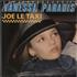 Vanessa Paradis Joe Le Taxi - Wide 7
