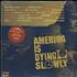 Various-Hip Hop & Rap America Is Dying Slowly 2-LP vinyl set US VB62LAM710011
