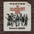Various-Punk & New Wave The Magnificent Seven vinyl LP UK PVALPTH575384