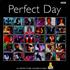 Various Artists Perfect Day 7