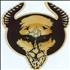 Venom Manitou shaped picture disc UK VNMSHMA164072