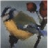 Walter Schreifels Distance 7 UNITED KINGDOM -I807DI890061